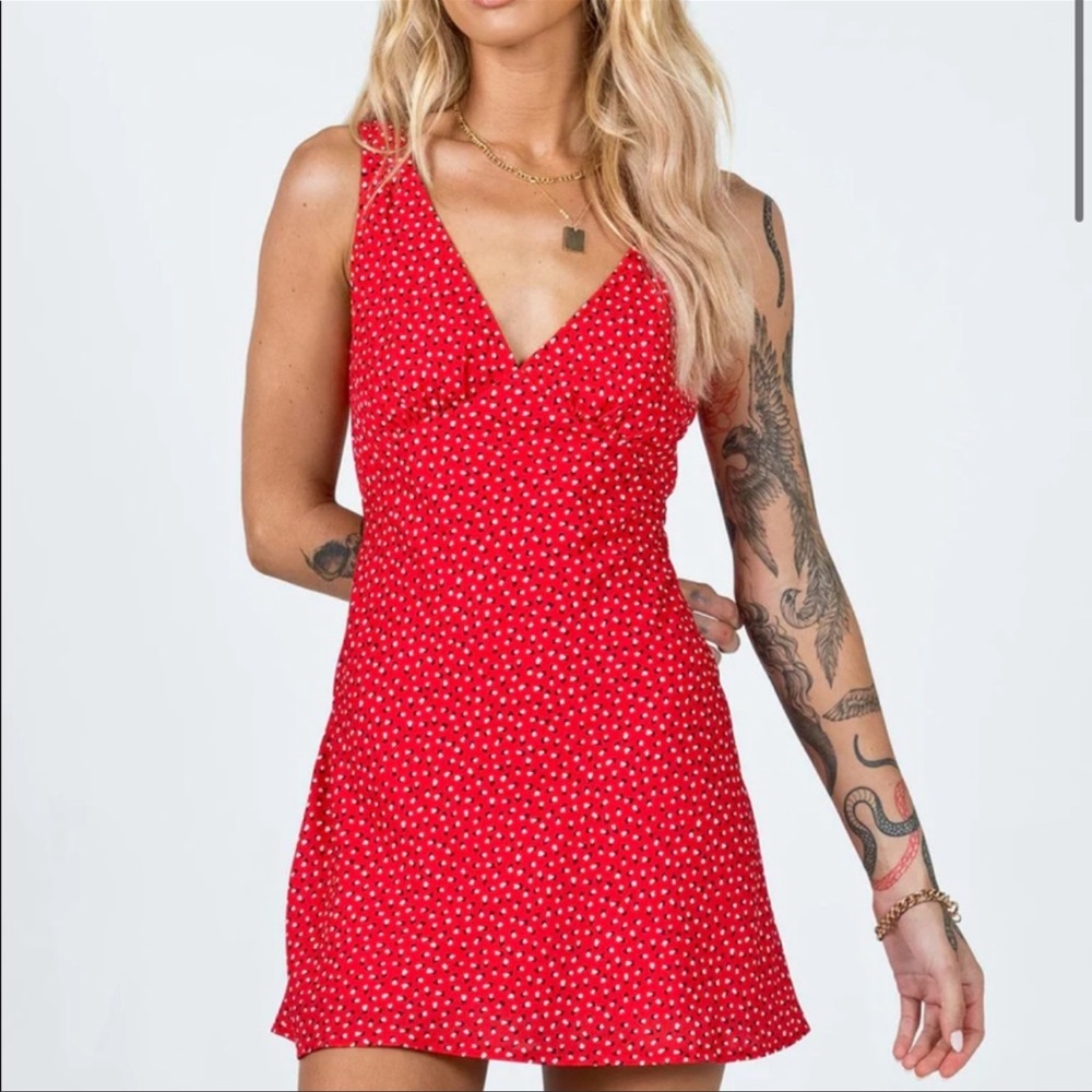 Princess Polly Nellie dress